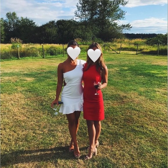 Aritzia Babaton Coral Dress - Picture 2 of 2